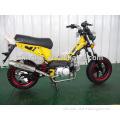 EEC Compliant Scooter